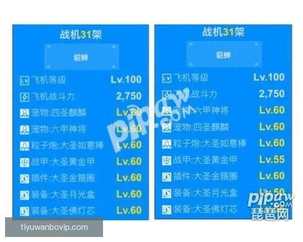 全新体育竞猜平台全面解析投注技巧与玩法攻略